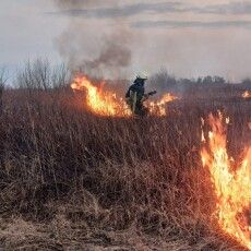 На Волині влада і правоохоронці безсилі перед паліями