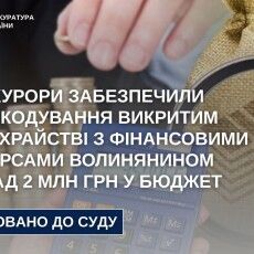 Волинянин, якого викрили у шахрайстві, сплатив у бюджет понад 2 мільйони гривень