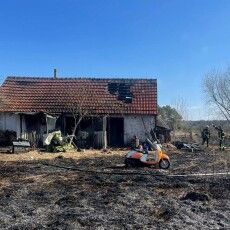 Волинь масовано атакують прихильники путіна (Фото)