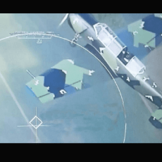 Українці на Як-52 відстрілюють ворожі дрони... із дробовика (Відео)
