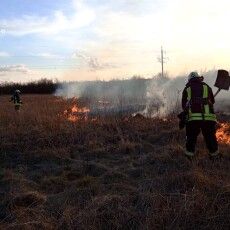 На Волині упіймали одного з паліїв