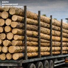 Ліс – у Польщу, директора – під суд: волинський бізнесмен погорів на «липових» документах