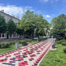 У наймолодшому місті на Волині «вишили» алею