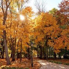 Яку погоду прогнозує в жовтні «мольфар» із Волині