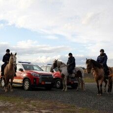 Волинським саперам допомагають відновлювати внутрішній ресурс коні