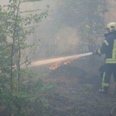 У Луцькому районі на Волині упіймали 7 підпалювачів