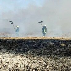 Волинська земля знову у вогні — недбалі господарі продовжують її нищити