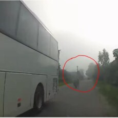 На Волині троє дітей на одному скутері ледь не потрапили під колеса авто в тумані