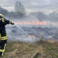 На Волині упіймали палія сухої трави
