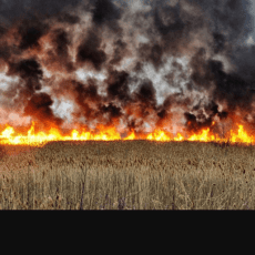 На Волині закликали громадян не ставати поплічниками путіна
