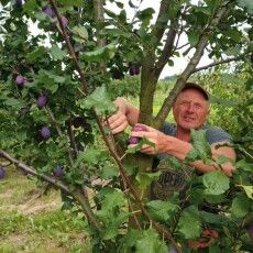  «Заходжу в сад душі своєї…»: життєві стежки волинського землероба і патріота Леоніда Кравчука  