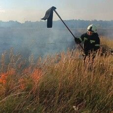 На Волині загорілося пшеничне поле з вини комбайнера
