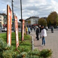 До 28 листопада в центрі Луцька діятиме виставка «Герої наших вулиць» 