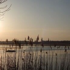 На Волині річка Прип'ять вийшла на заплаву вперше за два роки
