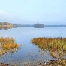 Стали відомі результати аналізу води 8 Шацьких озер