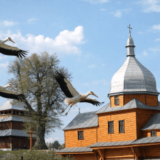 По-луцьки – без пояснень.  По-людськи – з болем