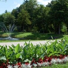 В центральному парку Луцька відкрили новий тренажерний зал (Відео)