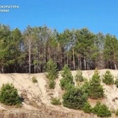 Суд заборонив видобуток піску на «Старовижівському Буковелі» на Волині