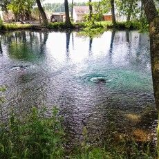 Форелеве господарство знищило знакові для Волині «Оконські джерела»?
