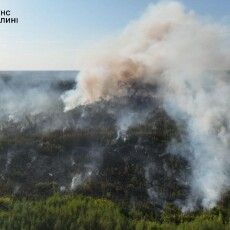 Хто на Волині підпалив ліси Полісся?