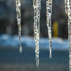 У селі на Волині зафіксували яскравий прихід весни (Відео)