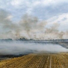 Дим заполонив все небо: на Волині зловмисники підпалили стерню