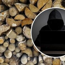 Жителька Волині за фотографію дров заплатила 12 тисяч гривень