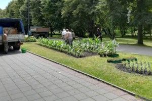 Парк у Луцьку розквітає новими барвами (ФОТО)