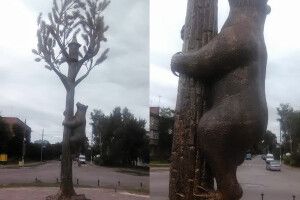 На центральній площі здоровезний ведмідь поліз на сосну за медом (фото)