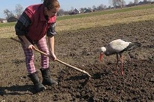 ФОТОФАКТ: Миколай приніс бусла