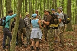 У Цуманській пущі надибали на оленячі дзвоники