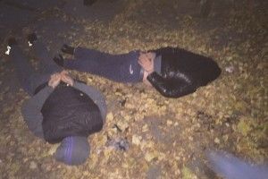 Продам долари – за півціни