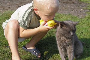 ФОТО НА КОНКУРС: Мурчику, не ображайся!