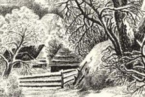 «У НАШОЇ БАБУСІ ТРИ ВЕСЕЛИХ ГУСІ»