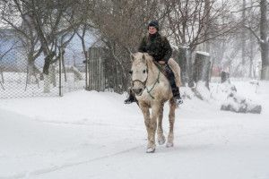 Верхи на коні – у країну знань! (Відеорозповідь)