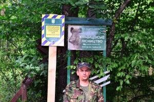 У Цуманській пущі завелися вандали