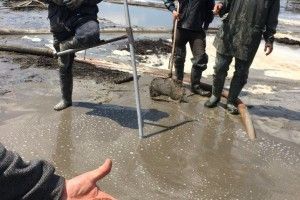 Бурштинокопачі продовжують на усіх чхати (фото)