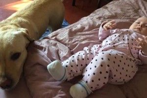 У сім’ї Яни Зінкевич знову «поповнення»