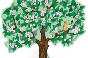 Компрес для яблуні