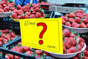 На полуницю за 60 гривень можна хіба що дивитися