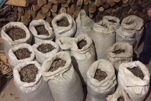 На Житомирщині вилучено 660 кг бурштину! (фото)