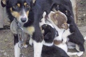 ЗВОРОТНИЙ ЗВ’ЯЗОК: погляд у душу