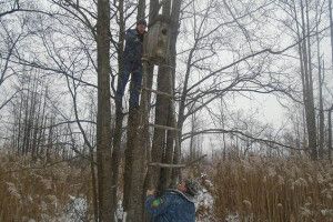Національний парк: домівки для рідкісних птахів готові (фото)