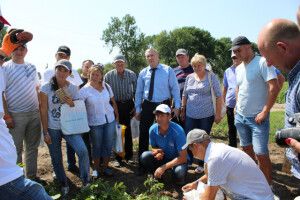 На «Дні поля» на Рівненщині основною стала картопля (фото)