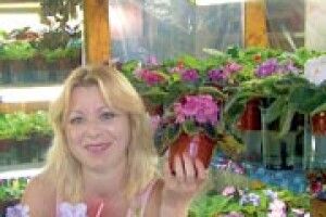 ТИСЯЧА ВИДIВ ФIАЛОК У МIСЬКIЙ КВАРТИРI