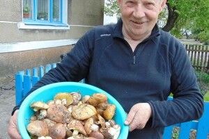 На Волині вже збирають маслюки