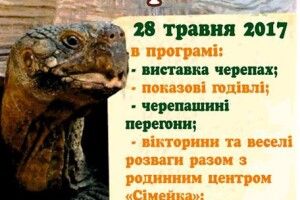 Цієї неділі у Рівному на швидкість бігатимуть черепахи