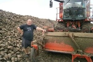 Комбайн в полі дир-дир-дир: з швидкістю 10 гектарів буряків на добу!