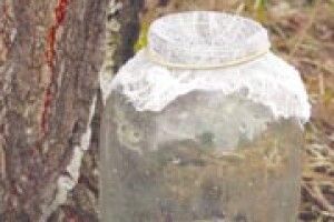 ПОГОДА: знову трохи задощить...