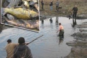 ДОБРА СПРАВА: Теремне матиме свій курорт